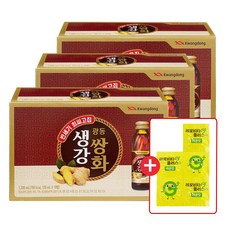 광동 생강쌍화 + 레모비타, 3박스, 10개입, 120ml