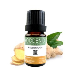 歐丹尼 薑純精油，10ml-50ml 單方純精油, 1個, 薑10ml
