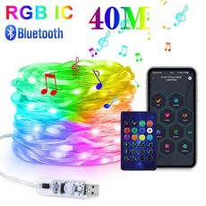 40M RGBIC LED 문자열 WS2812B 블루투스 USB 음악 드림 컬러 라이트 5V 크리스마스 생일 파티 갈 랜드 장식 요정 조명, LED String, 1미터