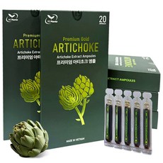 비엣고 베트남 프리미엄 골드 무설탕 아티초크앰플 5박스(100개입), 100개, 10ml