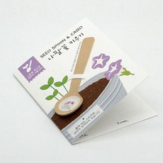 간편 홈가드닝 반려식물 간편 발아 씨드스푼 나팔꽃, 본상품