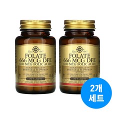 솔가 활성 엽산 666 mcg DFE 400mcg 활성형엽산 엽산영양제 단일성분, 250정, 2개