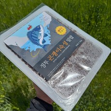 오딧세이프리4.5KG, 1개, 4.5kg