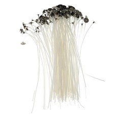 서스테인 150mm로 만드는 50x 사전 왁스 양초 심지 양초, 50pcs-15cm, 설명한대로, 면, 1개
