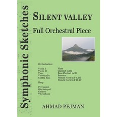 (영문도서) Silent Valley: Full Orchestral Piece Paperback, Kidsocado, English, 9781778920189