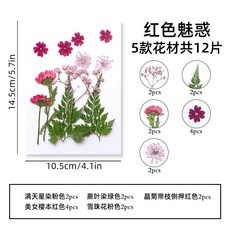 貼臉壓花系列 真花壓花組合 乾燥花植物標本, 3.紅色魅惑