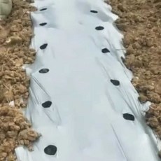 유공 농업용부직포 제초 방초포 덮개 농업용 원예 채소 부직포