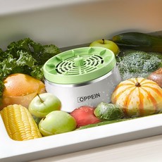 과일 세척기 초음파 살균 잔류농약 제거 야채 가정용 채소 세정 정화 주방, A