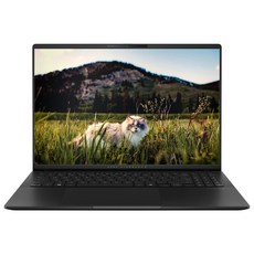 에이수스 2025 비보북 S 16 코어Ultra7, 뉴트럴블랙, 1TB, 16GB, WIN11 Home, S5606CA-RI162W