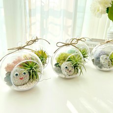 이오난사 애완돌 테라리움 diy 키트 원예 치료 미술 단체, 1.핑크이끼, 1개