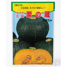 TOKITA 栗之藏 F1 雜交南瓜種子 早生多收 栗子風味, 1包