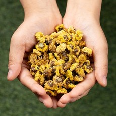 [본초강자] 국내산 국화차 국화꽃차 감국, 1개, 1개입, 50g