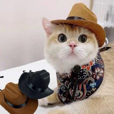 반려동물 카우보이 모자 반려견용품, 브라운