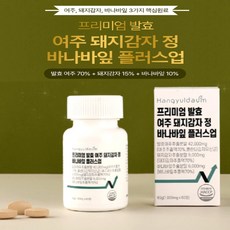 한결다움 프리미엄 발효 여주정 돼지감자 바나바잎, 60정, 1개