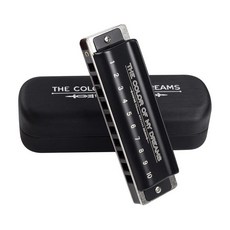 YUEKO Blues Harmonica The COLOR OF MY DREAMS 10홀 20톤 하모니카 수입 리드 ABS 빗 초보자 전문가용 (C 키) 141634 839972, C Key