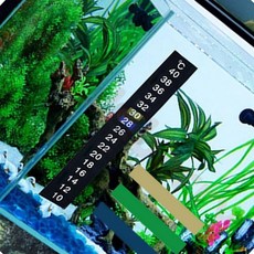 웨일베리 수족관용 스티커 어항 온도체크