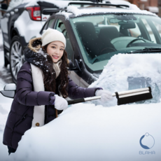 블라하 차량용 성에제거기 눈빗자루 스크래퍼, 1개