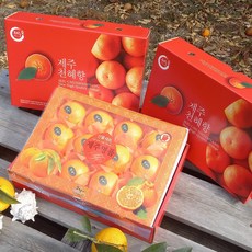 제주천혜향 3kg(9~13수 쇼핑백이중포장 ) 그윽한 향과 팡팡 터지는 과즙 품격있는 과일선물세트 박스무게포함, 2박스