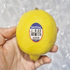 썬키스트 레몬 항공직송 생레몬 팬시레몬, 10개, 120g