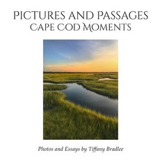 (영문도서)Pictures and Passages: Cape Cod Moments Paperback, Kirk House Publishers, English, 9781968428020