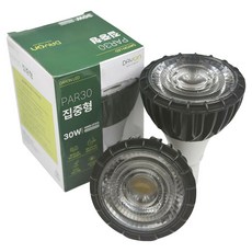 고효율 1등급 데이온 LED par30 30W 파30 집중형 전구 필립스칩, 주백색