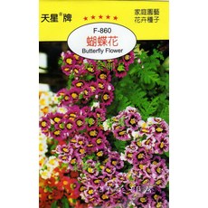 天星牌 蝴蝶花種子 F-860 野菜部屋 穗耕種苗, 1包