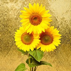 풍수아트 센스있는 개업 집들이 선물 황금 해바라기 그림 골드 연꽃 모란꽃 액자 거실 현관 인테리어, 10.골저스트리오