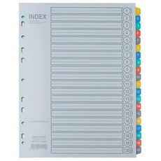 대흥)바인더인덱스 PP(i620/20분류/1SET)iri1+4wBC