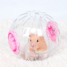 햄스터 운동 헬스볼 투명 장난감_ 20267666EA, 12.5cm, 블루