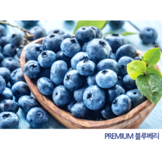[아이스박스 무료] 고당도 미국산 냉동 블루베리 1kg 웰프레쉬, 1개