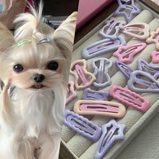 반려동물 털정리 악세서리 헤어핀 세트 5종, 1개, 뼈다귀