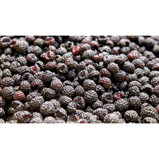 국산 신선한 고창 토종 복분자 햇 생과 급냉발송 국내산 신선한 복분자 고창 햇 복분자 생복분자 급냉배송 6/16부터 순차발송, 1개, 1kg