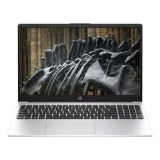HP 2025 노트북 255 G10 15 라이젠5 라이젠 7000 시리즈, 실버, 256GB, 16GB, WIN11 Home, G10-B7NK1AT