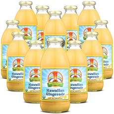 빅 아일랜드 오가닉스 하와이안 진저에이드 100% USDA Big Island Organics Hawaiian Gingerade Made with 100% USDA Organic, 473ml, 12개