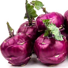 [하루3식] 아삭달콤 국내산 콜라비 (특품) 15-17개내외 10kg, 1개