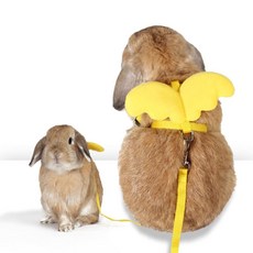 귀여운 날개 토끼 목줄 반려동물 산책 하네스 리드줄, 핑크작은날개끈이