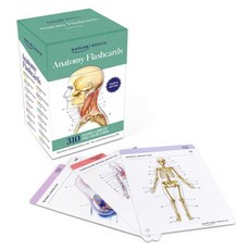 Anatomy Flashcard 해부학적으로 정밀한 도면과 자세한 설명이 포함된 300장의 사용자 정의 가능한 보너스 카드 10장과 맞춤형 스터디를 위한 정렬 링