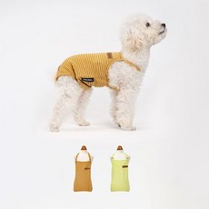 위생 팬티 기저귀 강아지 생리 대 속옷 외출 암컷 애견 met+44289gL, S, 옐로우