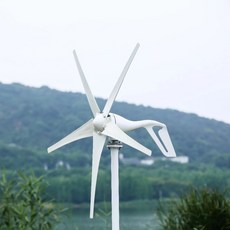유럽 ​​창고 10KW 블레이드 풍력 발전기 3 상 AC 8000W 12V MPPT 컨트롤러가있는 가정용 소형 터빈, 01 3KW with mppt, 02 8 blades, 02 24V용