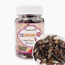 [MG내추럴] 국산 건조귀뚜라미 고슴도치 햄스터 간식 먹이, 15g, 1개