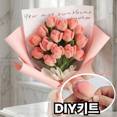 유누엔 모루꽃다발 DIY세트 모루꽃다발만들기세트, 피치튤립, 1세트 피치튤립, 1세트