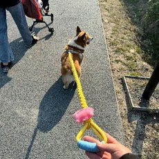 手工狗繩牽引繩寵物繩中大型犬牽引繩防爆衝包芯棉繩遛狗耐磨 寵物牽引繩 中大型寵物牽引繩 高顏值, 玫紅色,130厘米, 1個