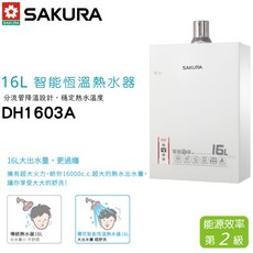 智能恆溫熱水器 DH1605 A 16公升 強制排氣 原廠安裝 告別忽冷忽熱, 1個, 桶裝瓦斯, DH1605A