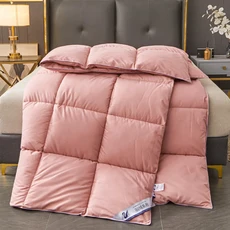 화이트 구스 다운 같은 충전재 이불 겨울 가을 봄 싱글 더블 컴포터 킹 퀸 풀 홈 호텔 텍스타일, 220x240cm, Baiyu Qingzhi 항균 거위털 봄 가을 이