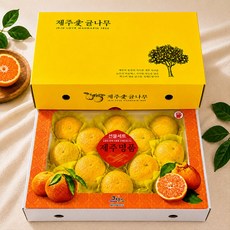 이제주 서귀포 황금향세트 3kg 8-16과, 1개, 3000