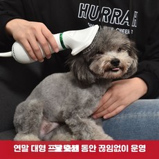 강아지 드라이빗 무소음 펫드라이어 대형견 중형견 목욕 후 털 말리기 편리, 1개
