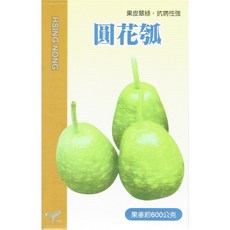 興農圓花瓠瓜種子，北部夏季種植，果皮翠綠抗病性強，單顆果重約600公克, 1個