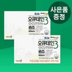 [미녀수공업] 오큐테인3 플러스 루테인 지아잔틴 국제약품 정품, 120정, 2개