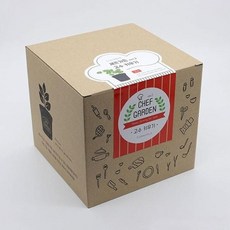 DIY 셰프가든 텃밭 고수 키우기 식집사 화분 abl*8589zW, 본상품선택, 1개