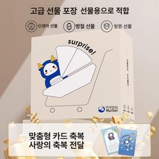 데이희 신생아바운서 휴대용 수면 흔들침대, 선물상자 카드포함 추천선물